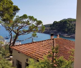 Tamariu 3 - Sea Views under pine trees free wifi terrace 50m from sea